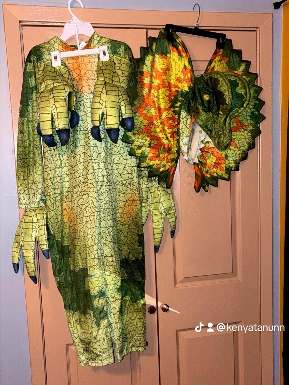 Green Dilophosaurus Dinosaur Kids Costume with Hood and Claws